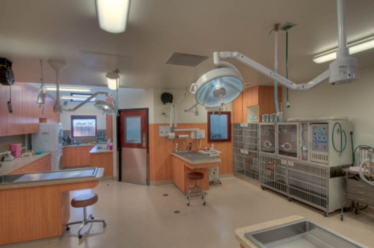 Indian Creek Veterinary Hospital