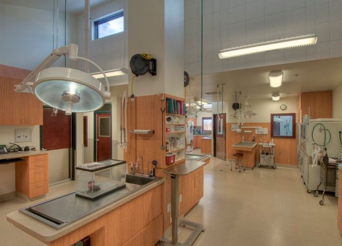 Indian Creek Veterinary Hospital