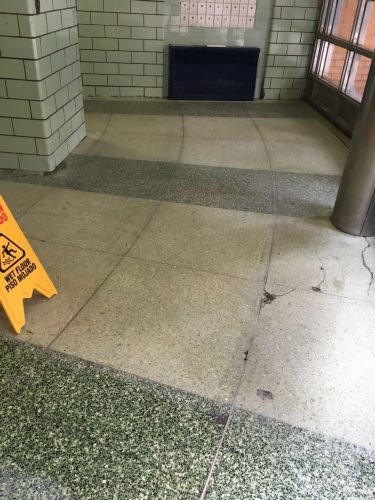 brooklyn projects Photo 3