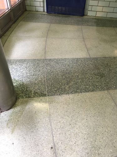 brooklyn projects Photo 4