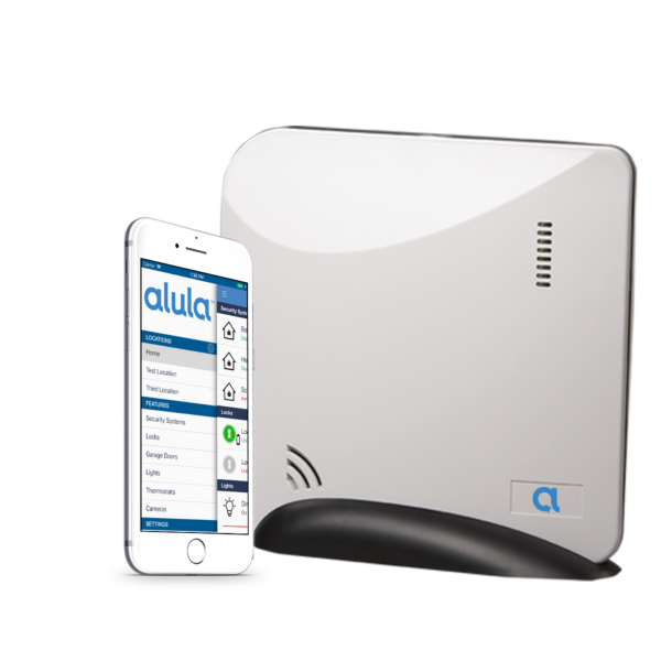 Our Services & Projects 