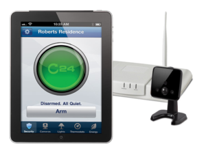 Our Services & Projects 