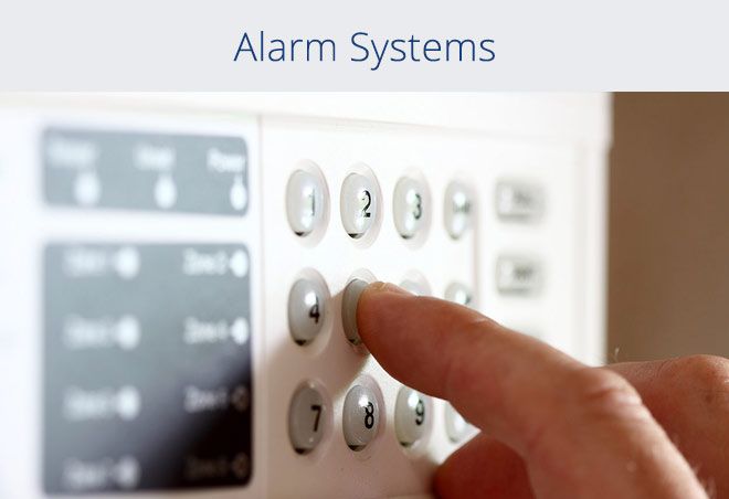 Our Services & Projects 