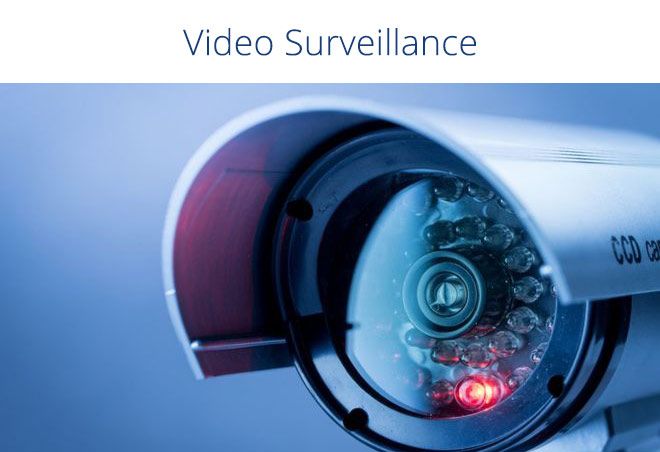 Our Services & Projects 