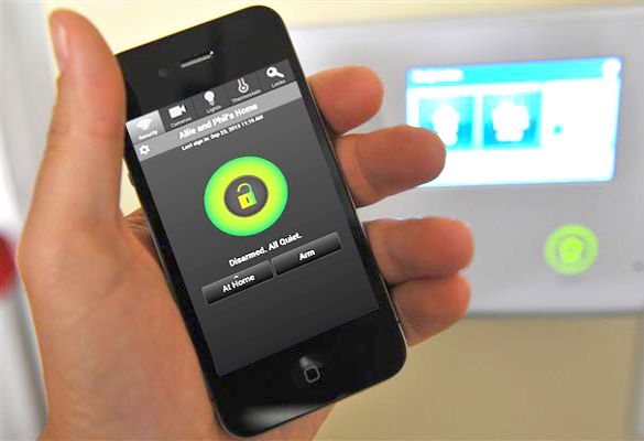 Our Services & Projects 