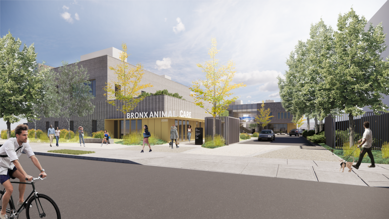 DDC-Bronx Animal Care