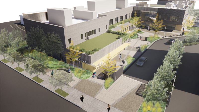 DDC-Bronx Animal Care