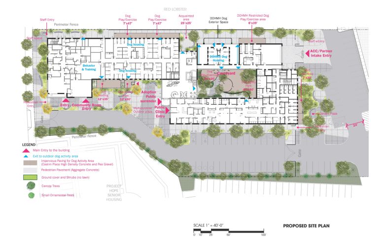 DDC-Bronx Animal Care