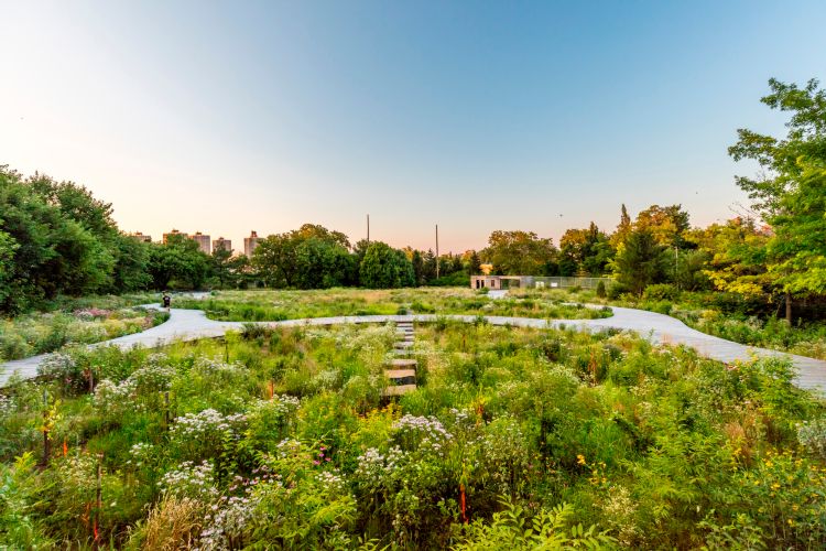 Naval Cemetery Memorial Landscape