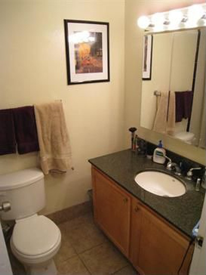 Lincoln Park Project