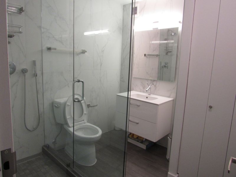 Lincoln Park Project