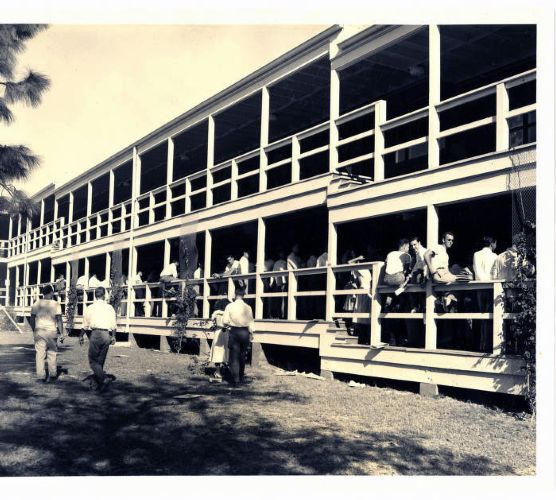 University of Miami Art Building