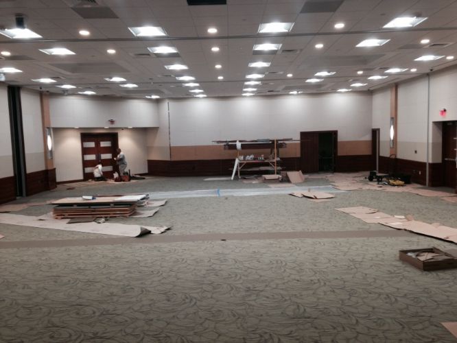 Victor Clarke Center