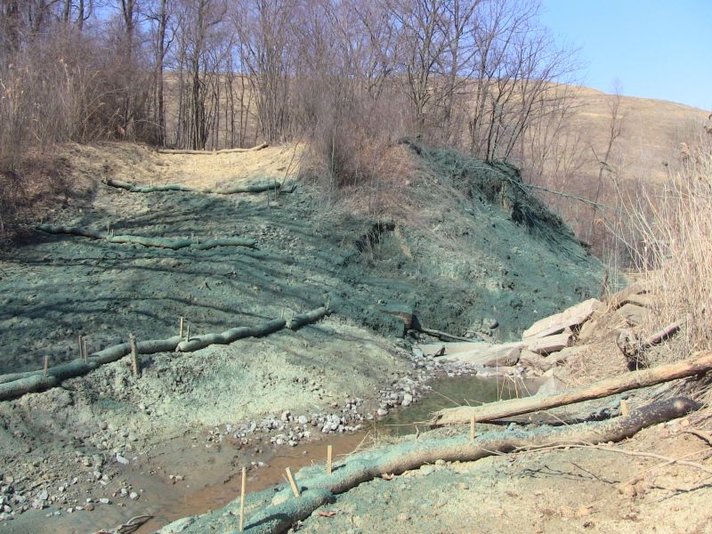 Steep Slope Retention with FGM and Woodlands edge mix