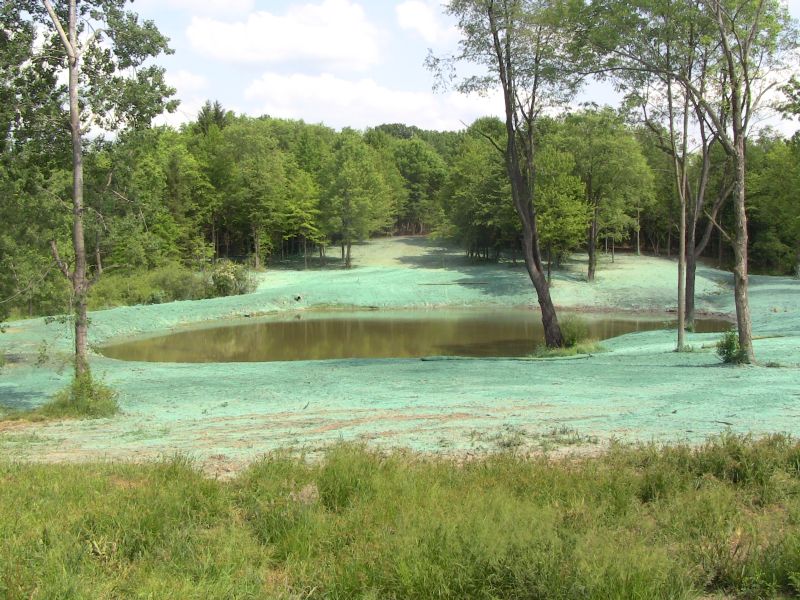 Stormwater and Wetlands Restoration