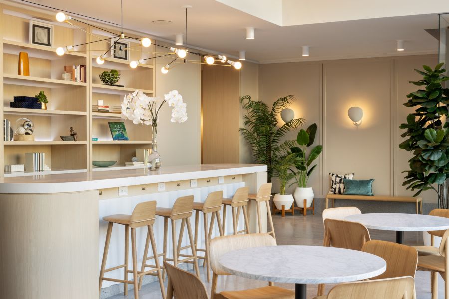 Dvora 175 Second Street, Jersey City, NJ