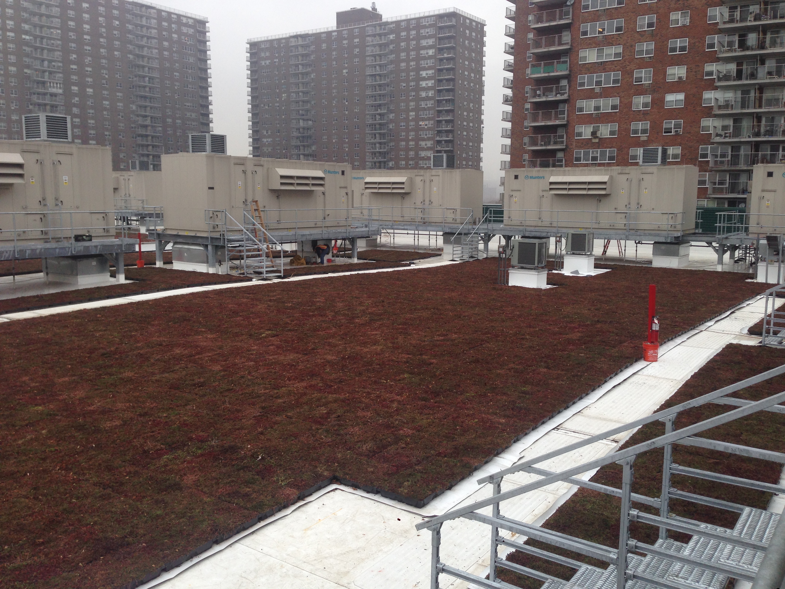 Businesses embrace green rooftops for energy efficiency and social