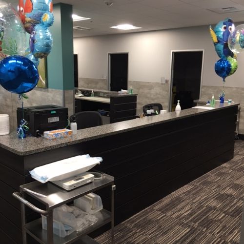 Allegro Sammamish Design Build TI 