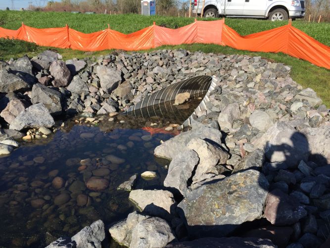 Evergreen Crossing - NE 137th Ave and NE 59th St Photo 2