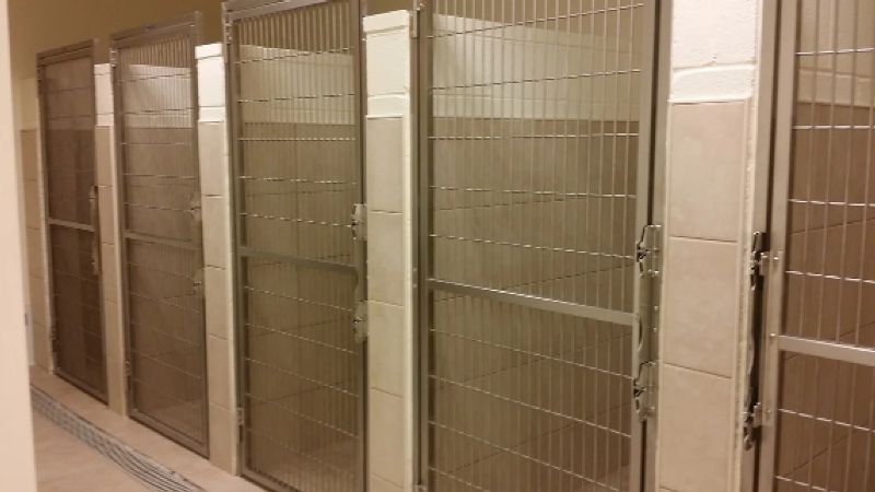 Campbell Animal Hospital