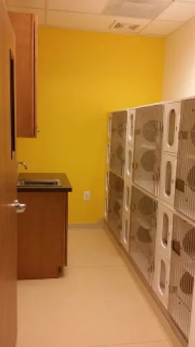 Campbell Animal Hospital