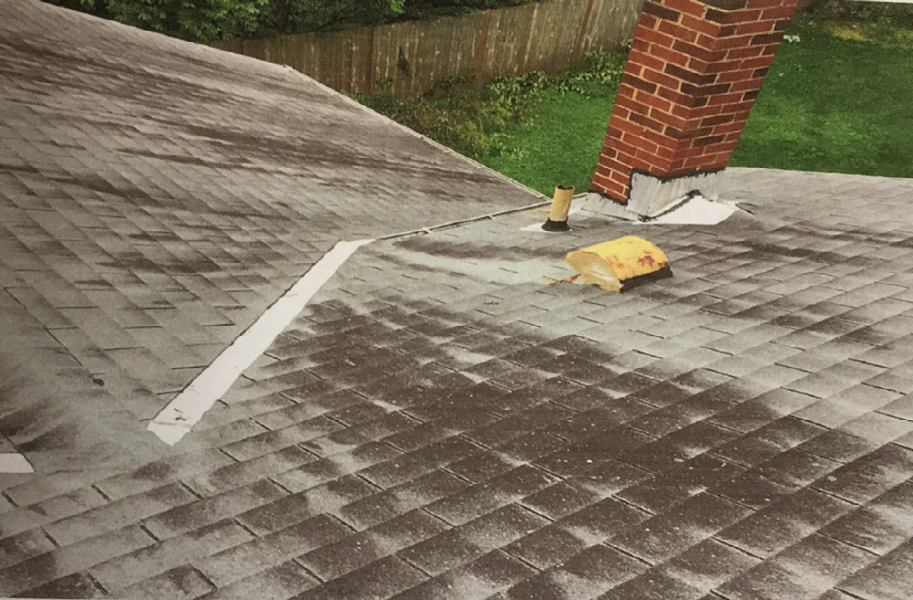 Roof Cleaning