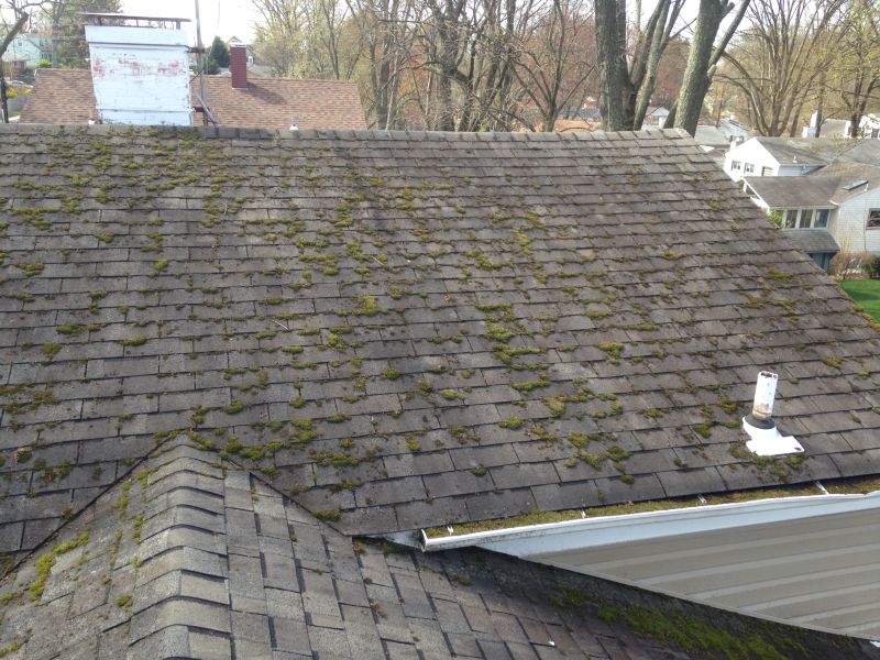 Roof Cleaning