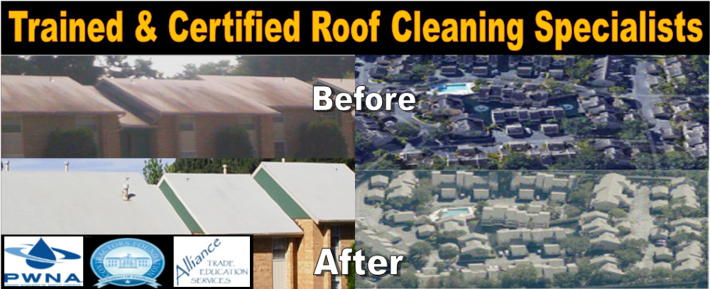 Roof Cleaning