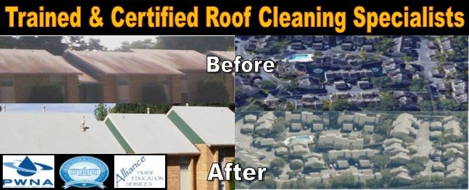 Roof Cleaning