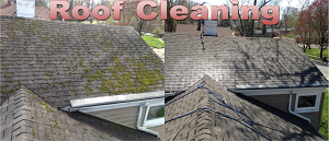 Roof Cleaning