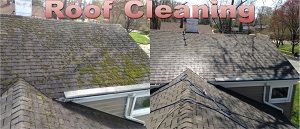 Roof Cleaning