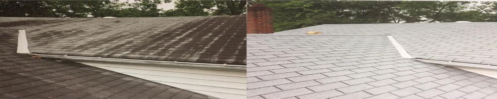 Roof Cleaning