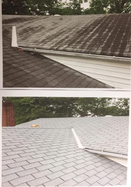 Roof Cleaning