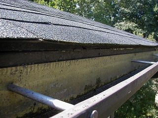 Gutter Cleaning Services