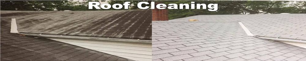 Roof Cleaning Services