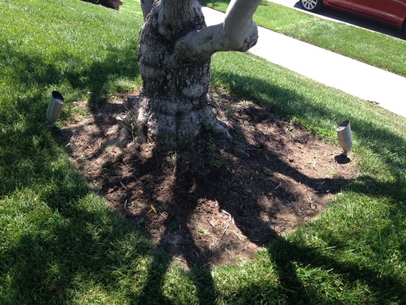Custom Newport Beach Home installation 