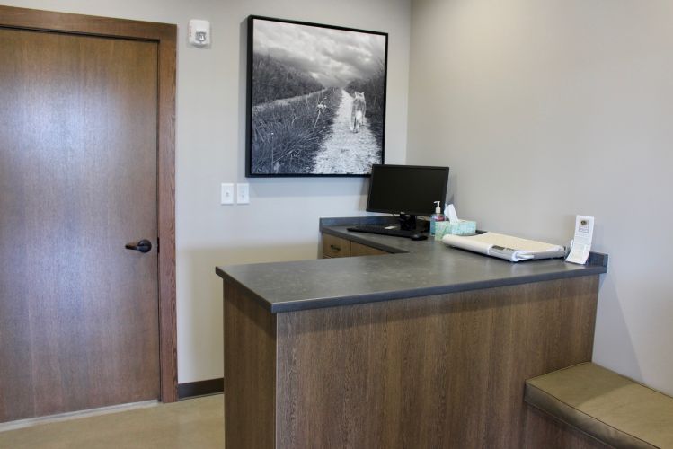 All Pets Animal Clinic