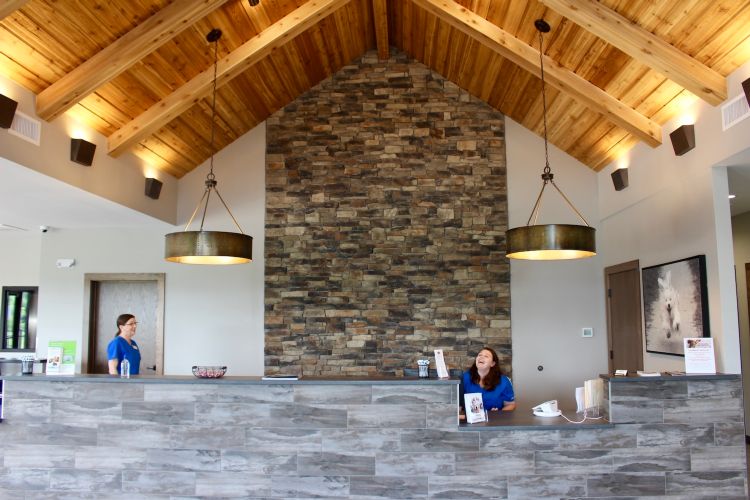 All Pets Animal Clinic