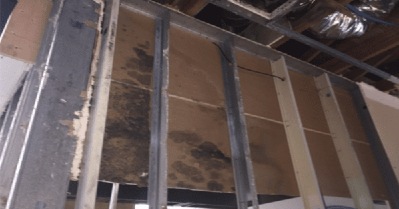 Mold and Water Damage Investigation