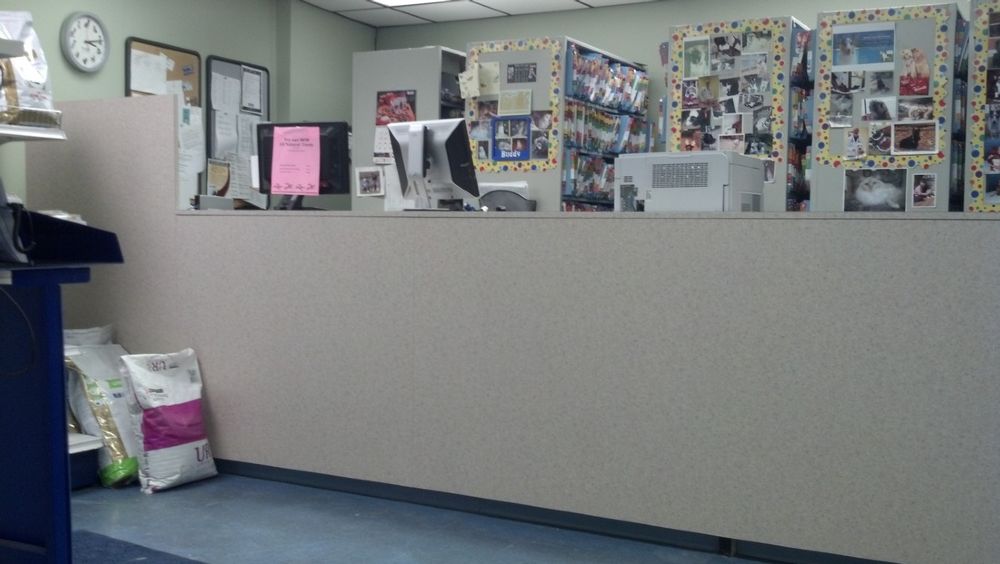 DTE Construction LLC Dracut, Massachusetts ProView