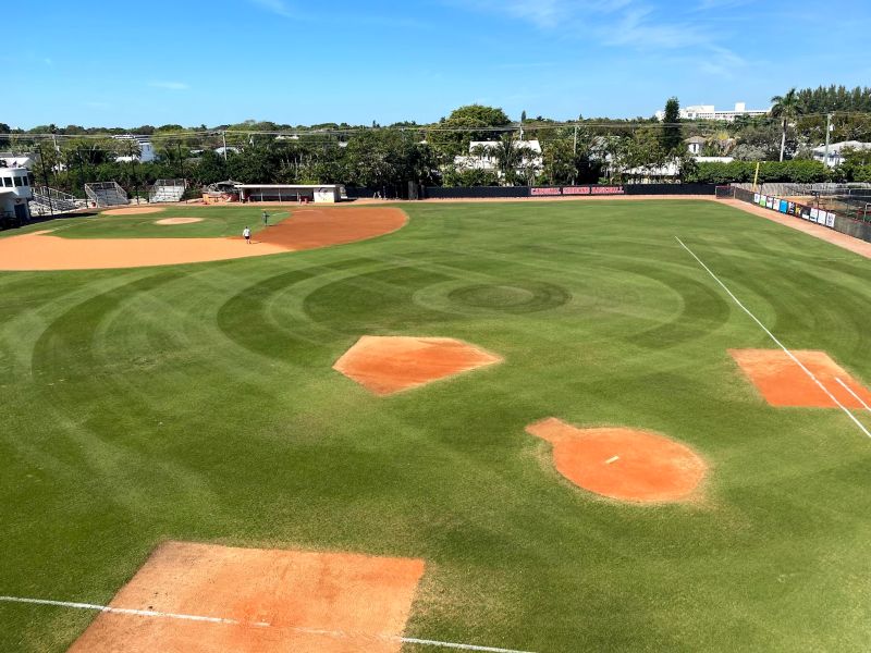 Commercial Chain Link