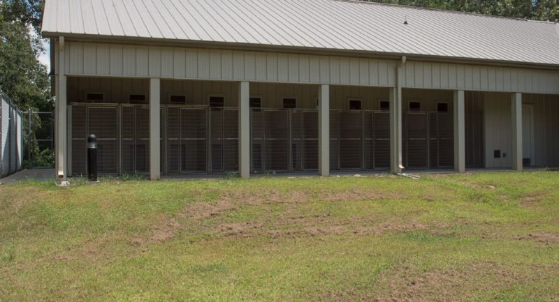 Morton buildings store dog kennels