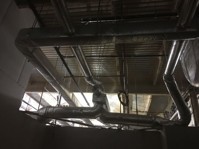 Children of America Springfield Queens, NY