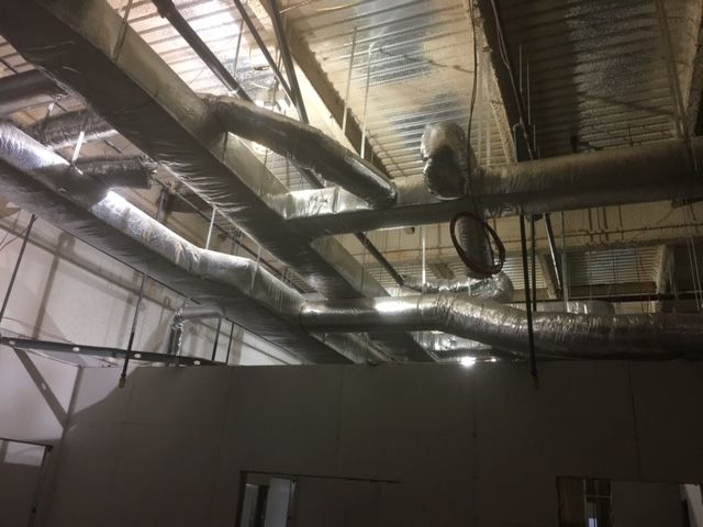 Children of America Springfield Queens, NY