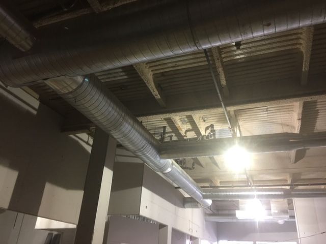 Children of America Springfield Queens, NY