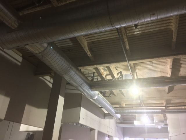 Children of America Springfield Queens, NY