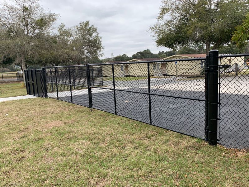 School / College / University