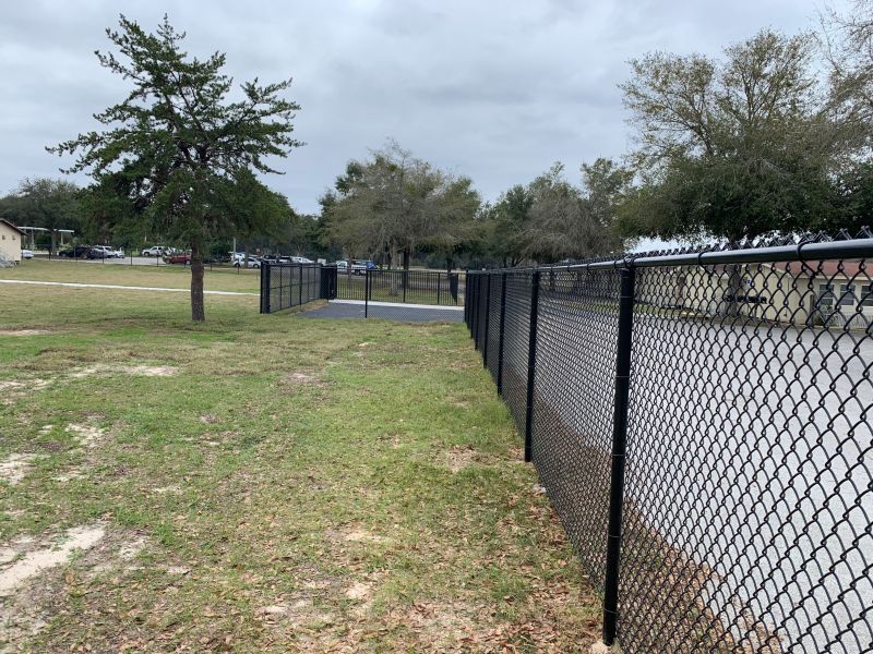 School / College / University