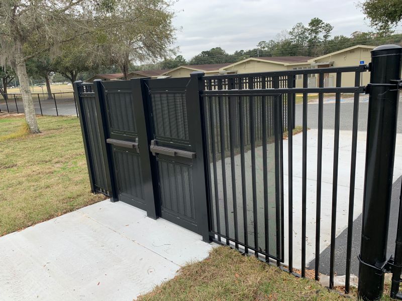 School / College / University