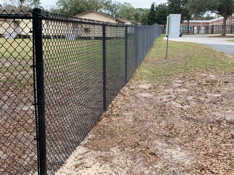 School / College / University